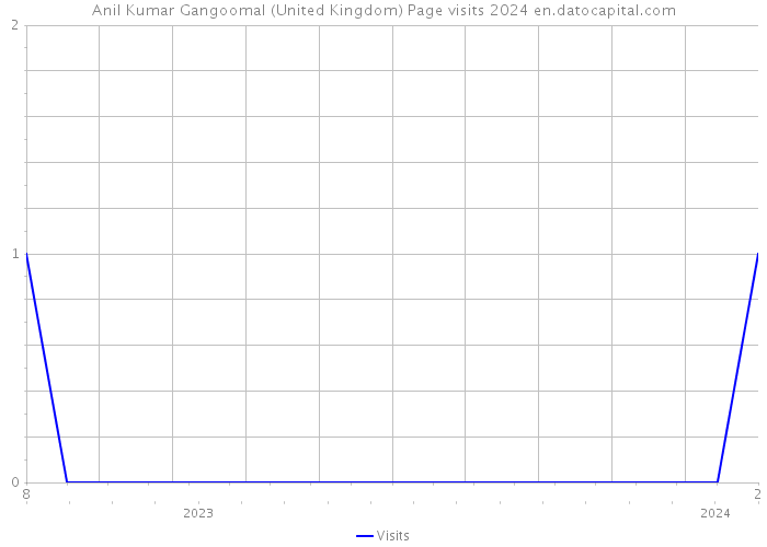 Anil Kumar Gangoomal (United Kingdom) Page visits 2024 