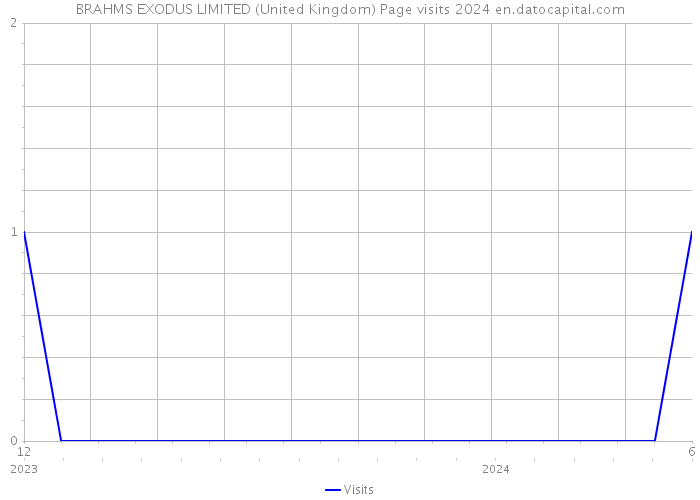 BRAHMS EXODUS LIMITED (United Kingdom) Page visits 2024 