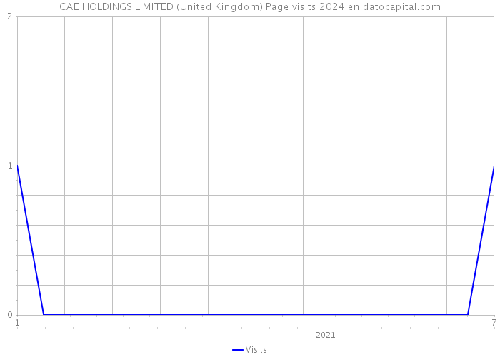 CAE HOLDINGS LIMITED (United Kingdom) Page visits 2024 