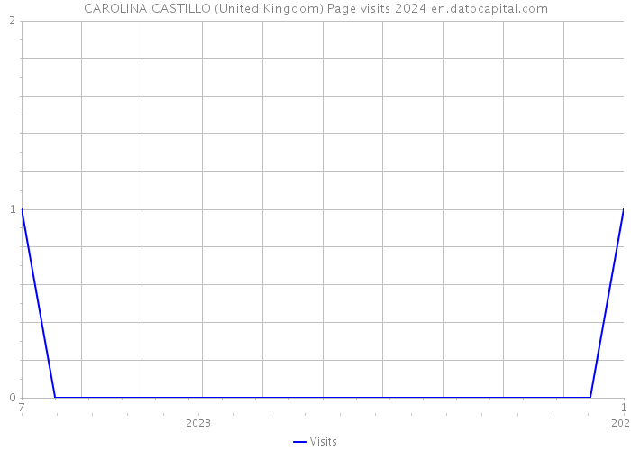 CAROLINA CASTILLO (United Kingdom) Page visits 2024 