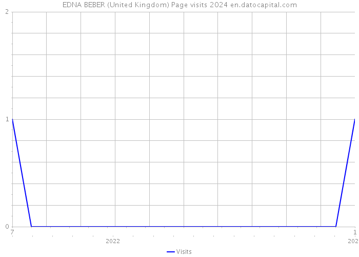 EDNA BEBER (United Kingdom) Page visits 2024 