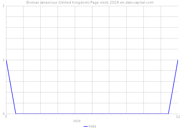 Ervinas Janavicius (United Kingdom) Page visits 2024 