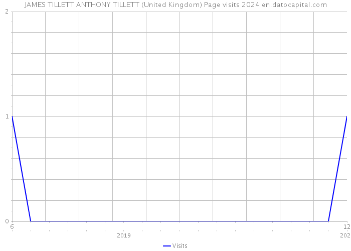 JAMES TILLETT ANTHONY TILLETT (United Kingdom) Page visits 2024 