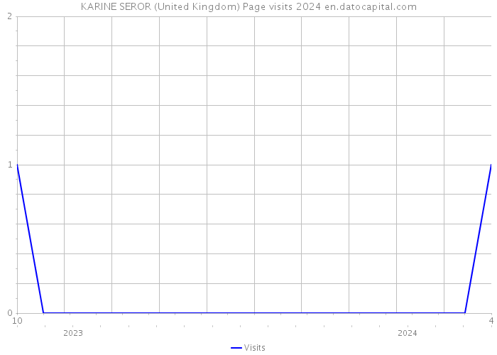 KARINE SEROR (United Kingdom) Page visits 2024 