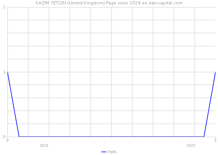 KAZIM YETGIN (United Kingdom) Page visits 2024 