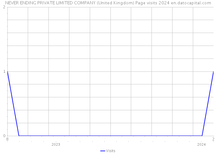 NEVER ENDING PRIVATE LIMITED COMPANY (United Kingdom) Page visits 2024 