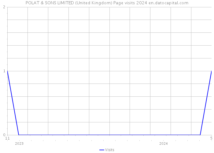 POLAT & SONS LIMITED (United Kingdom) Page visits 2024 