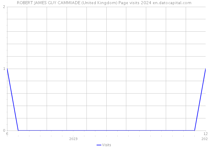 ROBERT JAMES GUY CAMMIADE (United Kingdom) Page visits 2024 