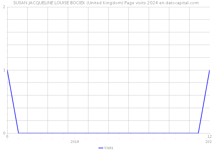 SUSAN JACQUELINE LOUISE BOCIEK (United Kingdom) Page visits 2024 