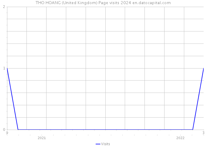 THO HOANG (United Kingdom) Page visits 2024 