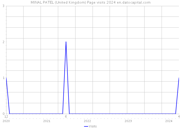 MINAL PATEL (United Kingdom) Page visits 2024 