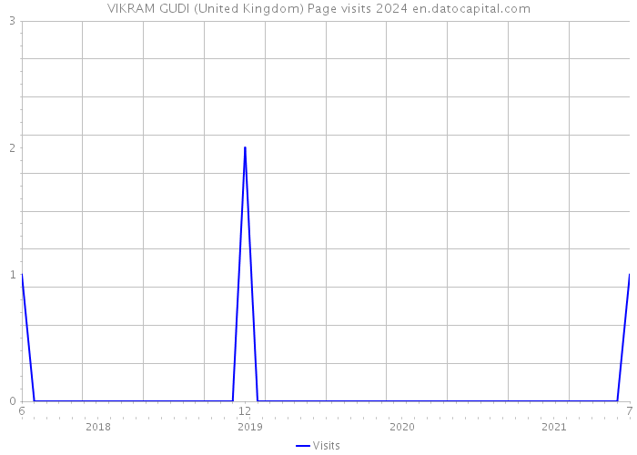 VIKRAM GUDI (United Kingdom) Page visits 2024 