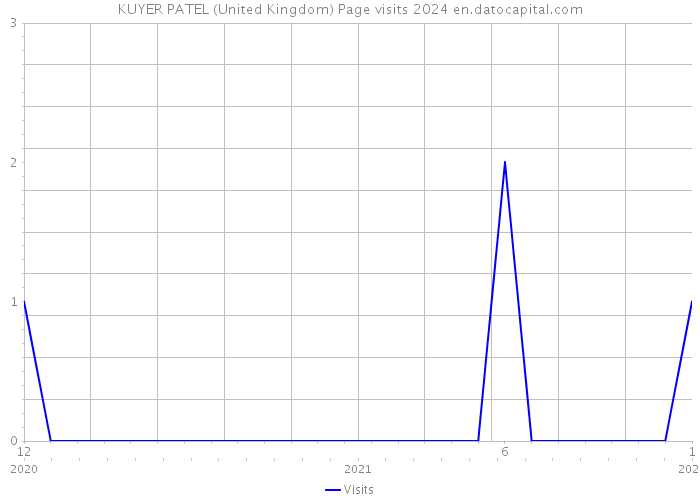 KUYER PATEL (United Kingdom) Page visits 2024 