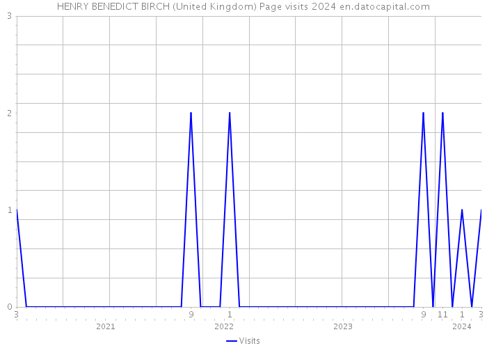 HENRY BENEDICT BIRCH (United Kingdom) Page visits 2024 