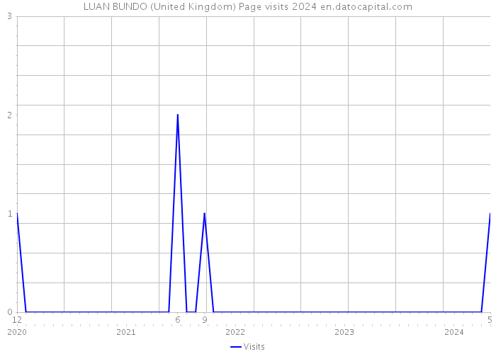 LUAN BUNDO (United Kingdom) Page visits 2024 