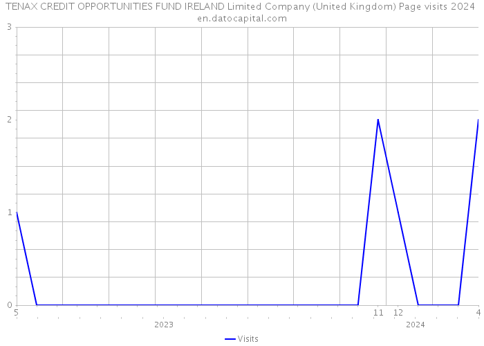 TENAX CREDIT OPPORTUNITIES FUND IRELAND Limited Company (United Kingdom) Page visits 2024 