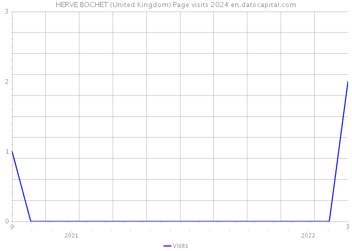 HERVE BOCHET (United Kingdom) Page visits 2024 