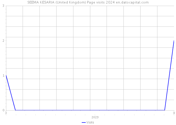 SEEMA KESARIA (United Kingdom) Page visits 2024 