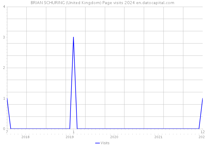 BRIAN SCHURING (United Kingdom) Page visits 2024 