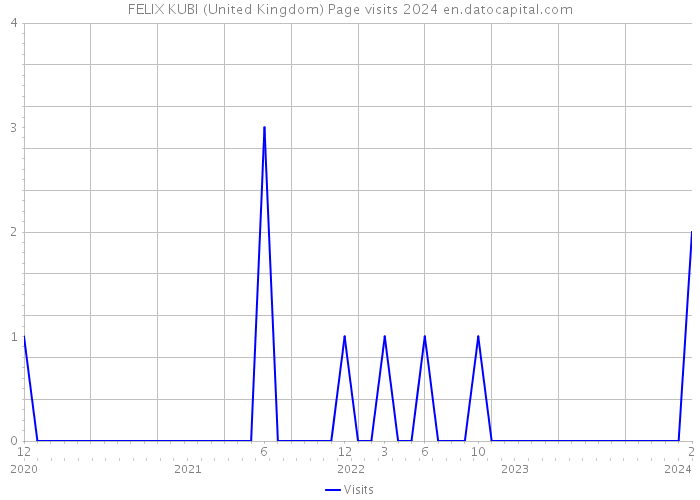FELIX KUBI (United Kingdom) Page visits 2024 