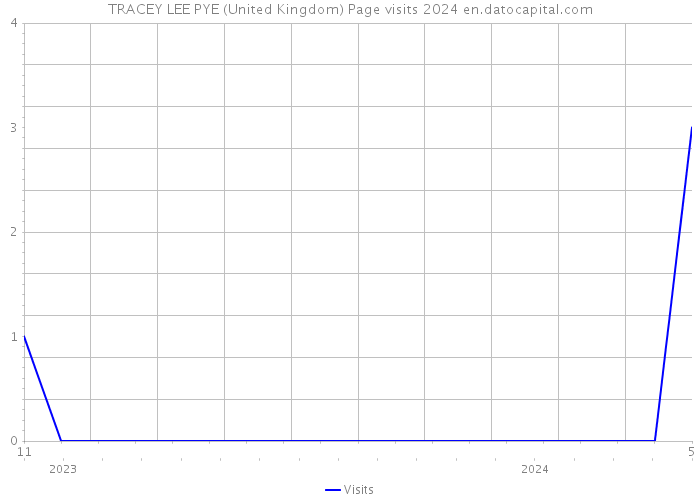 TRACEY LEE PYE (United Kingdom) Page visits 2024 