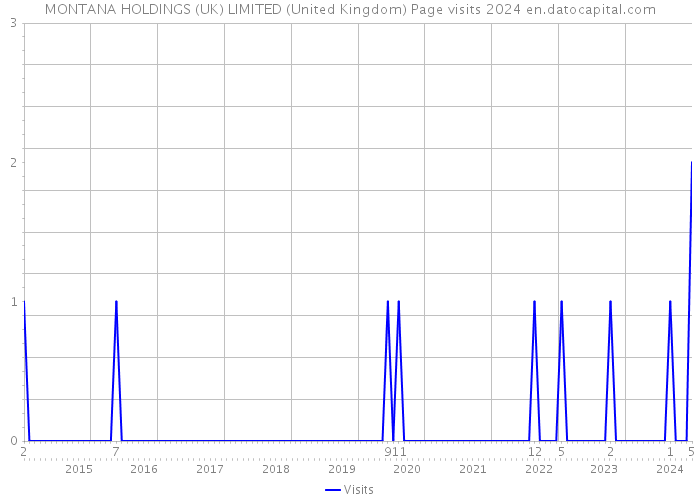 MONTANA HOLDINGS (UK) LIMITED (United Kingdom) Page visits 2024 