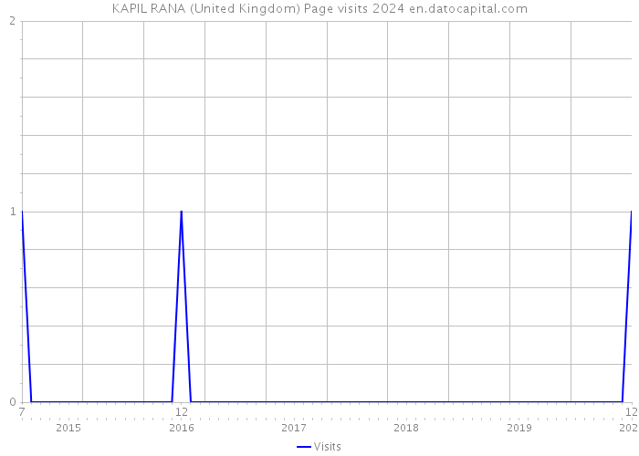 KAPIL RANA (United Kingdom) Page visits 2024 