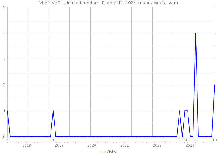 VIJAY VADI (United Kingdom) Page visits 2024 