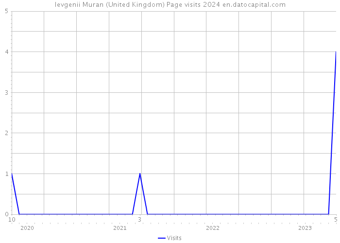 Ievgenii Muran (United Kingdom) Page visits 2024 