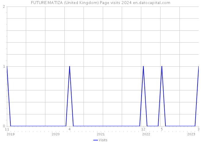 FUTURE MATIZA (United Kingdom) Page visits 2024 