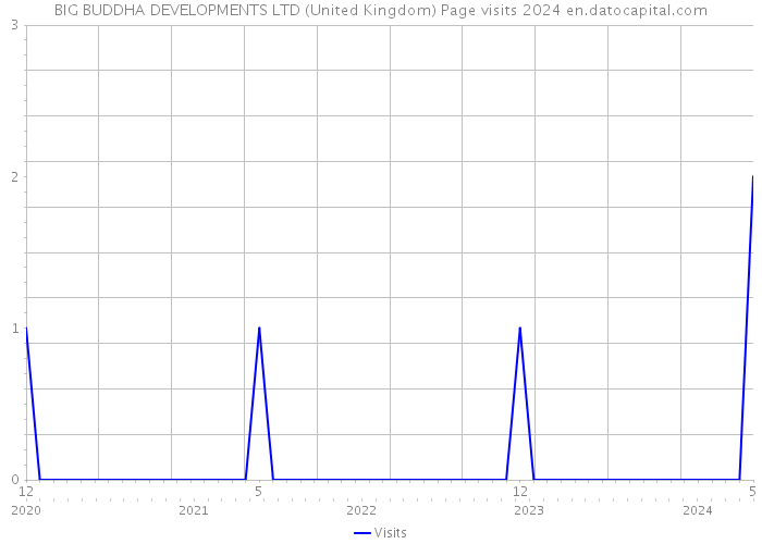 BIG BUDDHA DEVELOPMENTS LTD (United Kingdom) Page visits 2024 