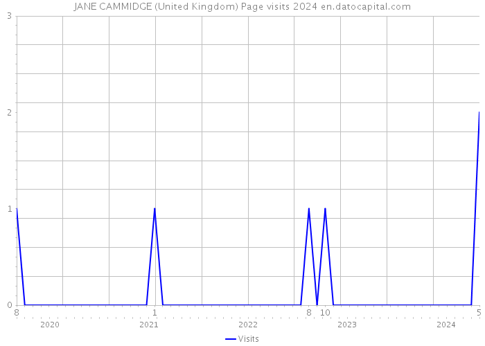JANE CAMMIDGE (United Kingdom) Page visits 2024 