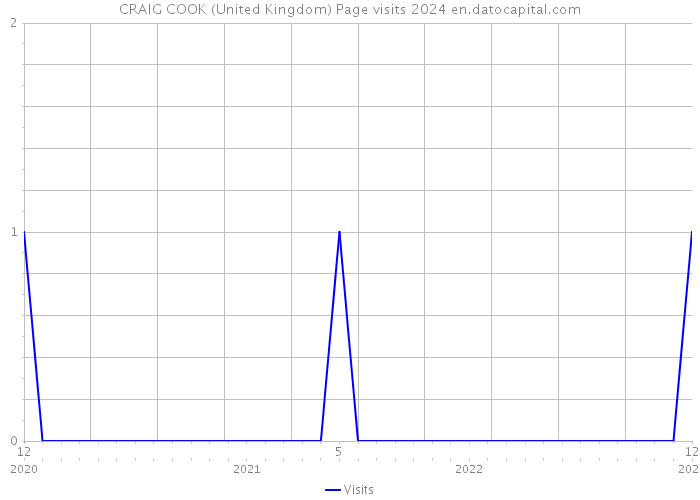 CRAIG COOK (United Kingdom) Page visits 2024 