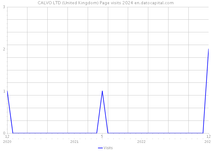 CALVO LTD (United Kingdom) Page visits 2024 