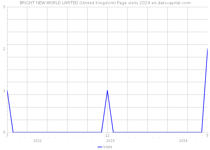 BRIGHT NEW WORLD LIMITED (United Kingdom) Page visits 2024 