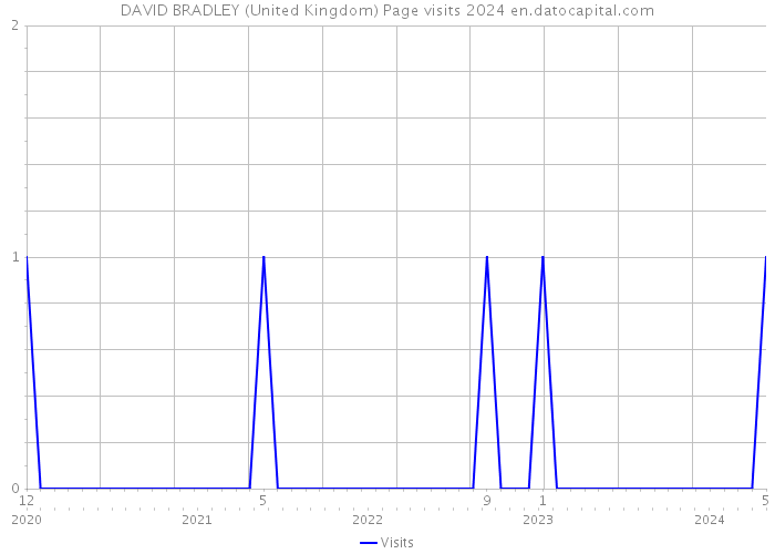 DAVID BRADLEY (United Kingdom) Page visits 2024 