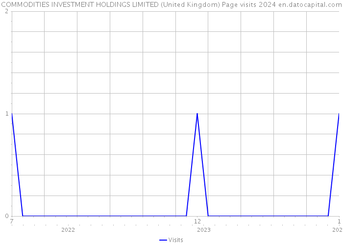 COMMODITIES INVESTMENT HOLDINGS LIMITED (United Kingdom) Page visits 2024 