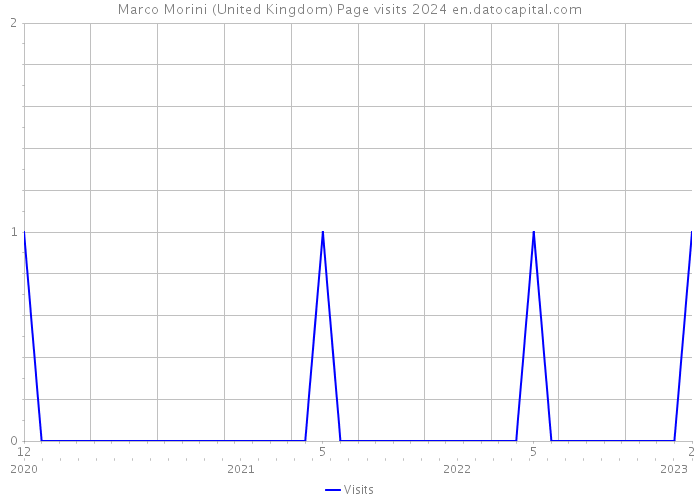 Marco Morini (United Kingdom) Page visits 2024 
