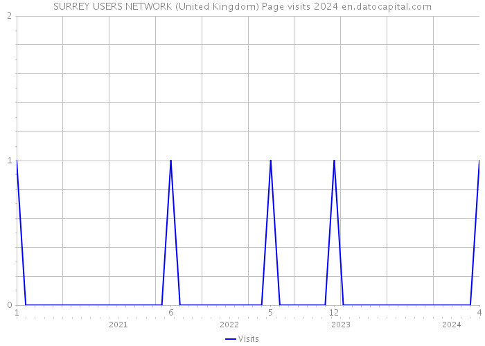 SURREY USERS NETWORK (United Kingdom) Page visits 2024 