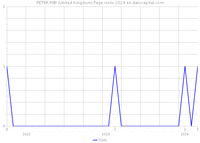 PETER RIBI (United Kingdom) Page visits 2024 