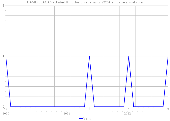DAVID BEAGAN (United Kingdom) Page visits 2024 