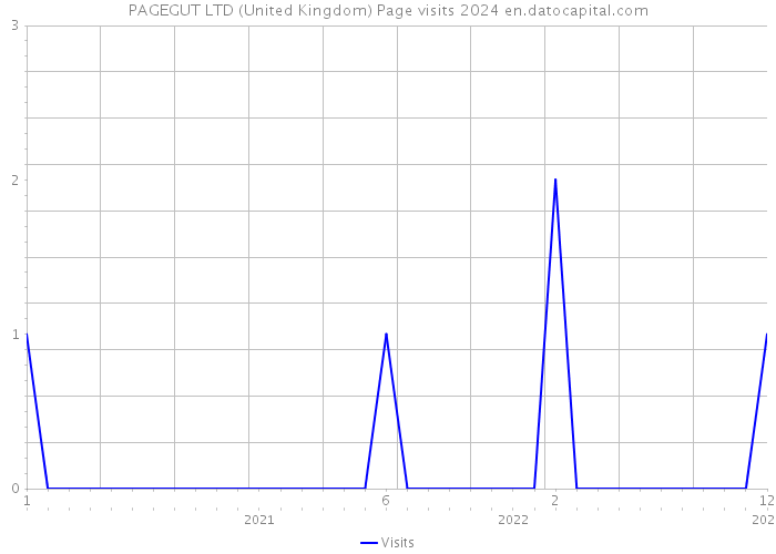PAGEGUT LTD (United Kingdom) Page visits 2024 