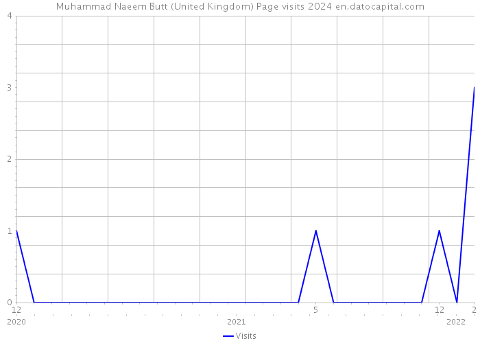 Muhammad Naeem Butt (United Kingdom) Page visits 2024 