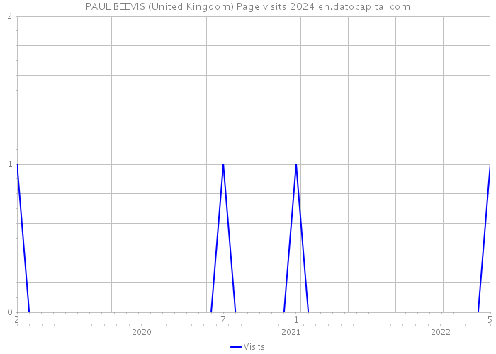 PAUL BEEVIS (United Kingdom) Page visits 2024 