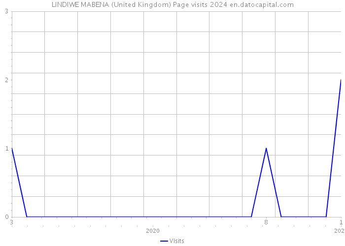 LINDIWE MABENA (United Kingdom) Page visits 2024 