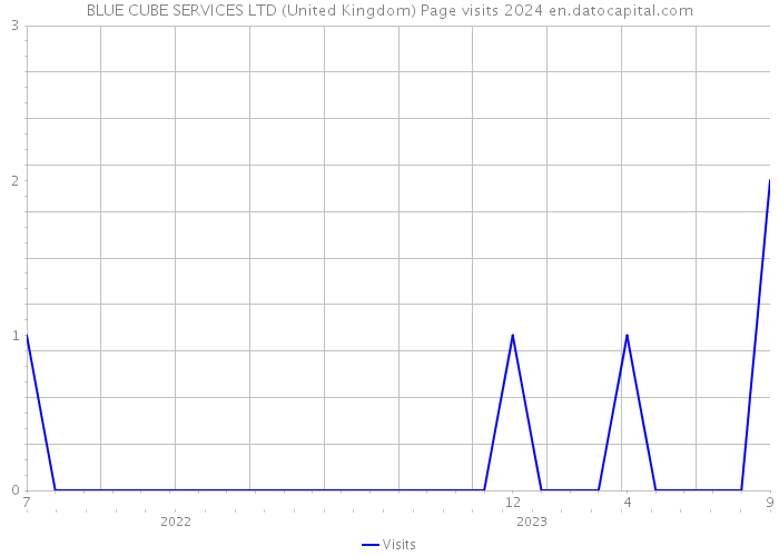 BLUE CUBE SERVICES LTD (United Kingdom) Page visits 2024 