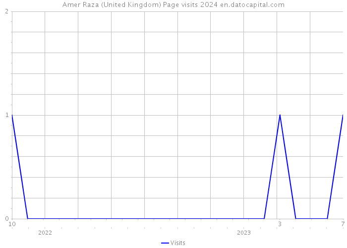 Amer Raza (United Kingdom) Page visits 2024 