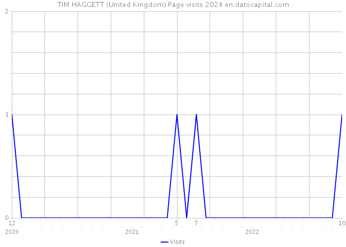 TIM HAGGETT (United Kingdom) Page visits 2024 