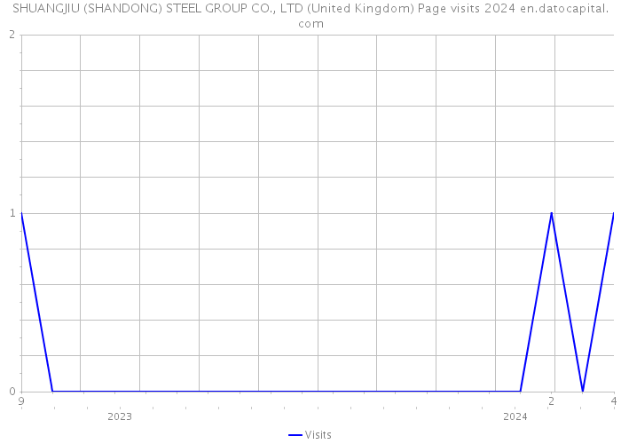 SHUANGJIU (SHANDONG) STEEL GROUP CO., LTD (United Kingdom) Page visits 2024 
