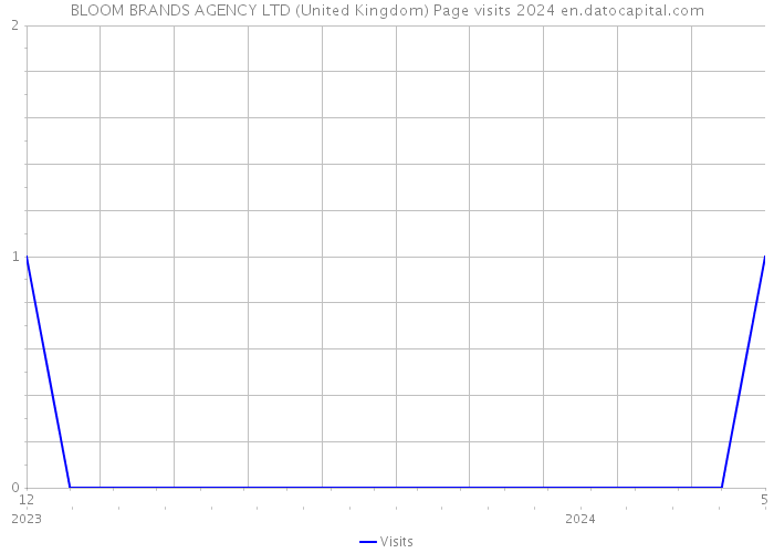 BLOOM BRANDS AGENCY LTD (United Kingdom) Page visits 2024 